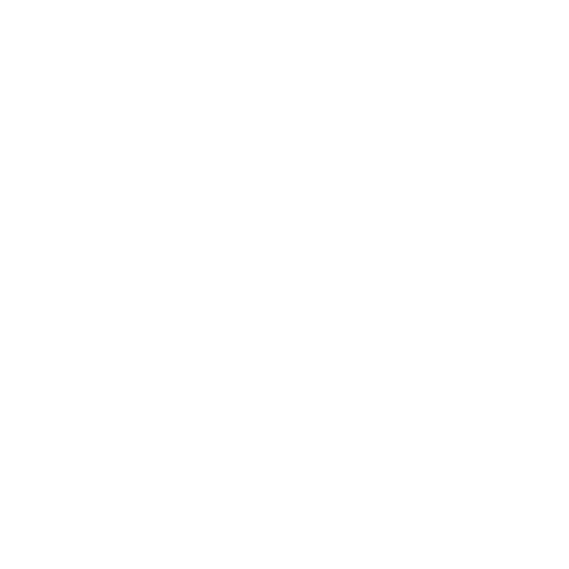 LIS MUN